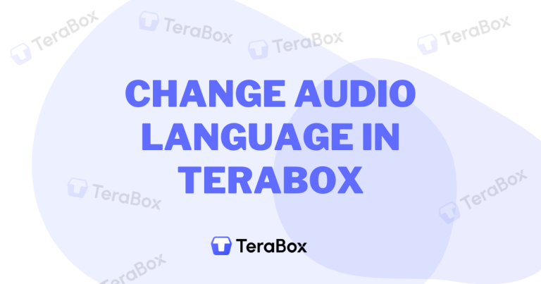 Change Audio Language in TeraBox